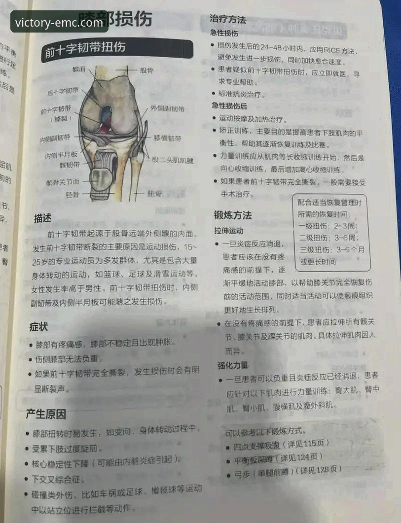 从韧带断裂到世界杯梦想：瑞典中场贝里瓦尔的康复之路与emc易倍体育观赛指南